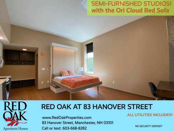 $1,699 / 369ft2 - FREE Heat, HW, Electric & WiFi in this Fabulous Studio for Rent!!!!!!! (30 Hanover St, Manchester, NH)63931656635906120