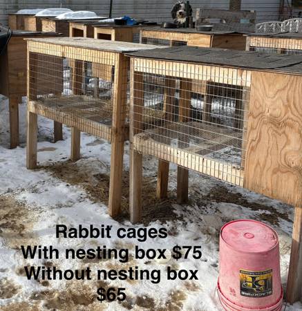 Rabbit cages 1