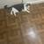 Roommate wanted for 2 bedroom apartment 5 thumbnail