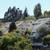 Easy Access Highways 101 & 280, Near Public Transit, Studio 4 thumbnail