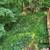 RIVERVIEW HOME FOR SALE 24 thumbnail