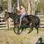Kid Broke mare 7 thumbnail