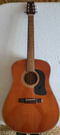 Washburn D-12 BR Acoustic Guitar W/ Hard Case 1