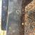 1981-up Chevy Square Body Truck core support 4 thumbnail