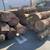 WALNUT logs 1 thumbnail