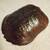 Turtle Shell 6 thumbnail