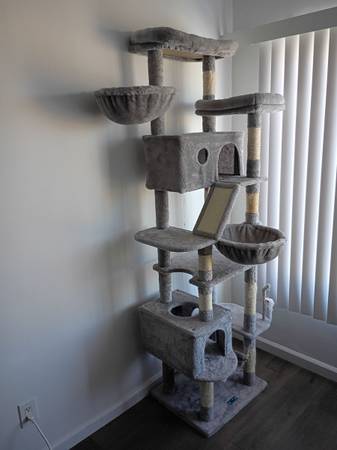 FREE CAT TREE 1