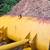 1979 JCB 3CIII Loader – Starts & Runs Great 8 thumbnail