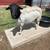 Hobart Champion Gas Welder on Trailer 22 thumbnail