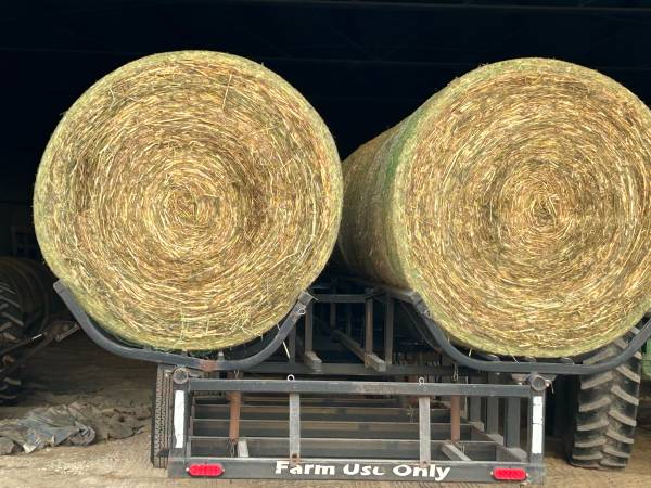 Sudan Grazer Round Bales 4x5 1