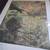 Lovely Abstract Foliage Pastel Painting Framed 5 thumbnail