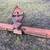 Tractor rear blade 2 thumbnail