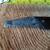 Vintage 2.5 inch Bladed Hand Saw 4 thumbnail
