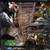 3 Crested Geckos with everything included 5 thumbnail