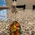 Dept 56 - Peanuts Snoopy and Woodstock 2 thumbnail