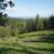 Don't Start From Scratch! 5 Acres with Septic Already Installed! LOT 1 1 thumbnail