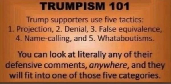 Trumpsim 101 1