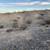 Joshua Tree Secluded 5 Acres, for Camping, Near Park & Mountains 14 thumbnail