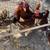 Young chickens 5 thumbnail