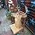 Large deer head taxidermy buck 2 thumbnail