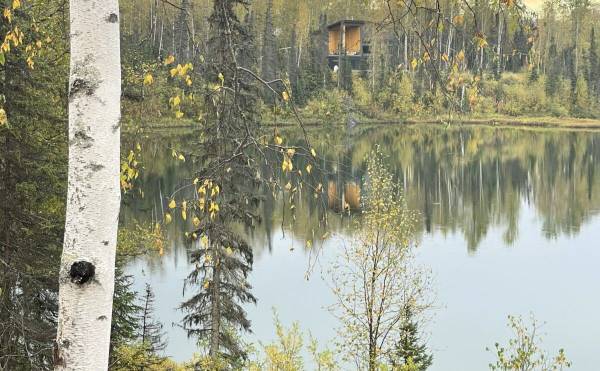 $165,000 / 30481ft2 - UNO DE LOS ÚLTIMOS TERRENOS EN SKYLAKE - TRANQUILO, LIMPIO, LISTO PARA CONSTRUIR (Willow)64014173739777124