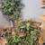 silk trees, boxes of silk flowers, silk plants in baskets, dry flowers 3 thumbnail