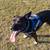 URGENT RE-HOME NEEDED 7 thumbnail