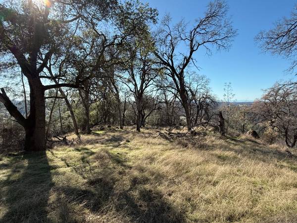 $85,000 JUST REDUCED!!   9.07 Private Acres with Hilltop Views (Grass Valley)63952105264386124