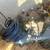 Kobalt air compressor 2 thumbnail