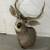 Taxidermy mounts, hides, etc. 4 thumbnail