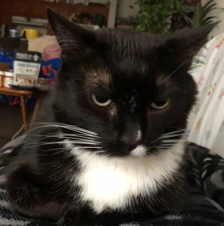 Lost Sneakers (Glen Jean)64213051043073124