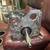 Baker 6 Speed RSD Transmission 9 thumbnail