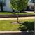 🌿 Profesional Landscaper, Fair Prices - El Patron Lawn care🌿 4 thumbnail