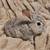 Plush lop bunnies 2 thumbnail