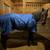 TB Gelding 8 thumbnail