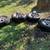 F-250 tires and wheels 7 thumbnail