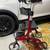 Upright Walker 1 thumbnail