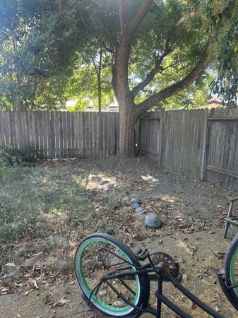 $2,195 / 2br - 980ft2 - Duplex (Davis)64043666023810123