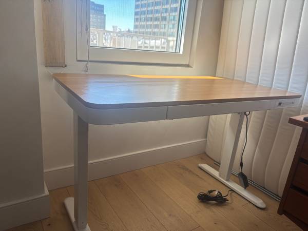 Flexispot standing desk 1
