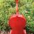 1/2 Cello From Teacher Ready To Play W/Case & Extras 2 thumbnail