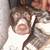 AKC Full German Short haired pointer! 4 thumbnail
