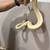 Ball python 1 thumbnail