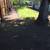 SOD*Cleanups*Bark/Rock*Blackberry*BUSHES*Fences*Shrubs*REO EXPERIENCE 2 thumbnail