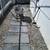 Landscape & Tree service 22 thumbnail