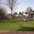 Legalized 3br 2 full bth ground level suite (gas included) 16 thumbnail