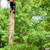 LVP Flooring/ Professional Painting/ Tree Removal 6 thumbnail