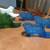 Vintage Fenton glass shoes. Green & blue $10 each - others $15 each. 1 thumbnail