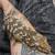 Leachianus gecko 2 thumbnail
