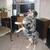 Dog Training Classes 2 thumbnail
