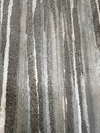 area rug- allen + roth 1